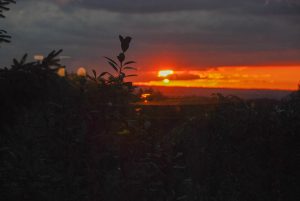 All accompanied by a glorious sunset