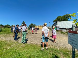 IMG_8254 copy