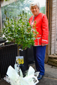 Denise and her rose bush
