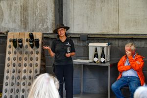 Vineyard-33
